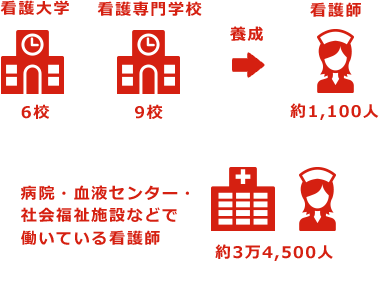 GLOBAL NETWORK